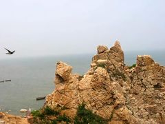 -老虎石海上公园