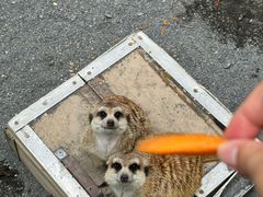 -水上乐园·欢乐世界