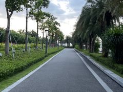 -深圳湾公园(南山区)