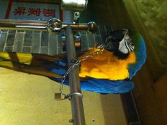 那家小馆(中关村店)-那家小馆•北京菜•烤鸭(中关村店)