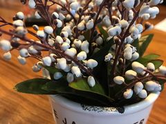 -必胜客(龙茗店)