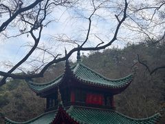 -岳麓山风景名胜区