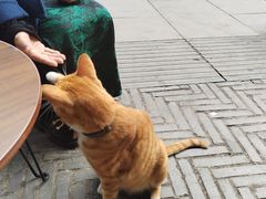 -清欢覔時