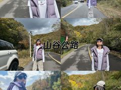 -天女山森林公园