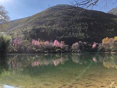 -蝴蝶泉公园