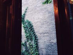 景观位-也枫·小黄楼(南山路旗舰店)
