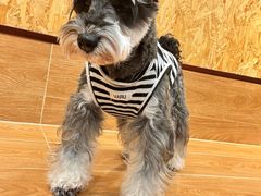 -和它·交个朋友·狗咖猫咖(爱琴海店)