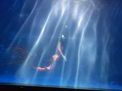 -常州海昌海洋探索馆