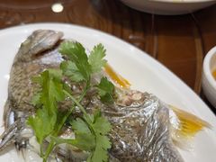 -长平肥姐白粥·海鲜打冷