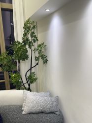 -JNK皮肤管理中心