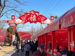 -北京凤凰岭