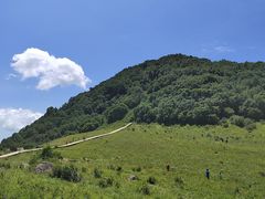 -白草畔自然风景区