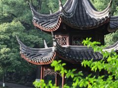 -忠山公园