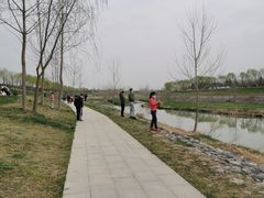 -洨河生态公园