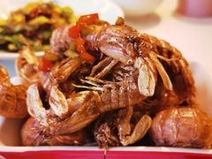 -后海16号·北京私房菜