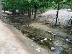 -白水寺森林公园