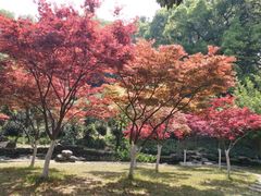 -杭州黄龙洞