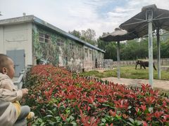 -西安秦岭野生动物园