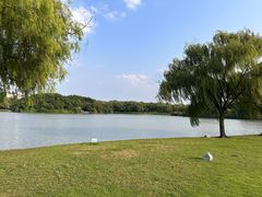 -东华大学(松江校区)