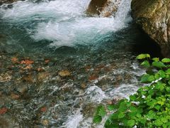 -西岭雪山大飞水景区