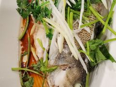 -听涛雅苑百味饺子老家菜馆