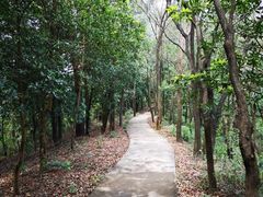 -滴水岩森林公园