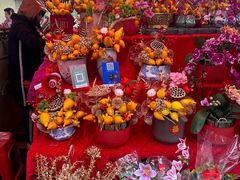 -越秀西湖花市(广州城市广场花卉店)