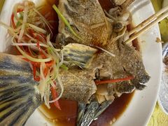 -煲来饱去冷水鱼