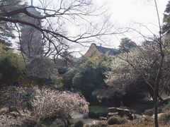 -北寺塔