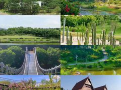 -东莞植物园
