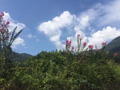 -梁野山景区