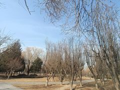 -太阳宫公园