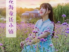 -大塘金香草谷