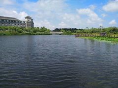 -上海海洋大学(临港校区)