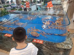 -山东八大碗山东老字号