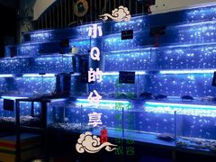 -QQ海鲜餐厅
