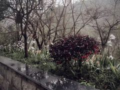-丰都鬼城名山景区