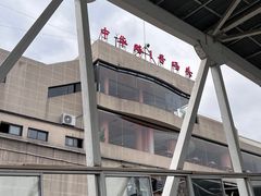 -武汉关码头(轮渡站)