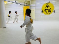 -勇气斑马·巴西柔术&跆拳道(浦东三林店)