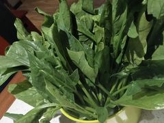 -九府羊·鲜羊火锅·烤串(新华路店)