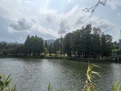 -四海公园(南山区)