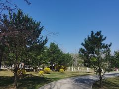 -北坞公园