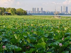 -云龙湖旅游景区