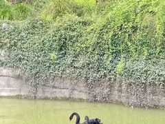 -虹迎轩·中餐厅(虹桥迎宾馆店)