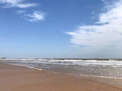 -日照海滨国家森林公园