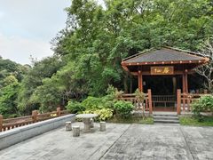 -广州白江湖森林公园