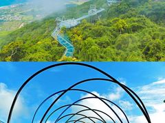 -亚龙湾热带天堂森林公园