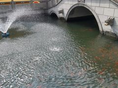 -会龙寺