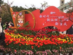 -南山植物园