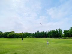 -上海滨江森林公园